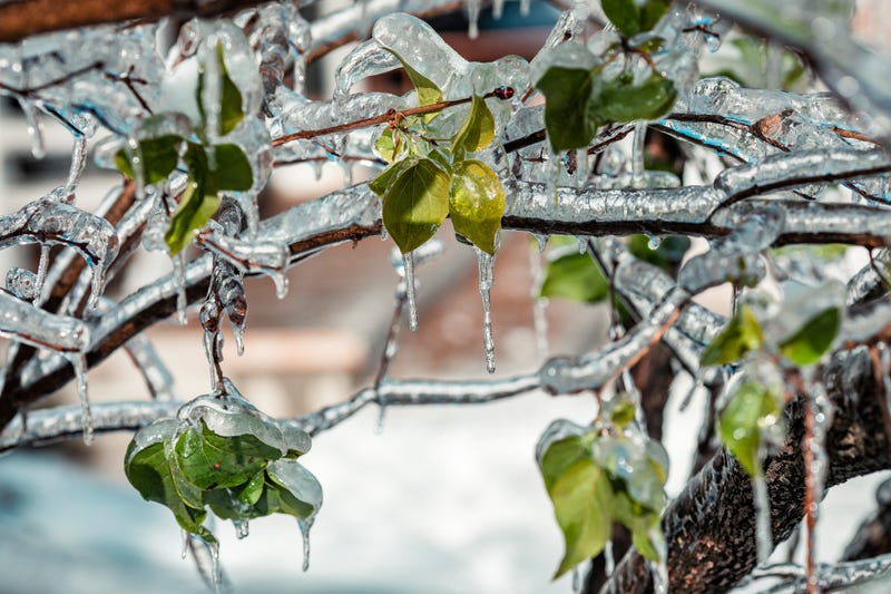 Russia Ice Storm