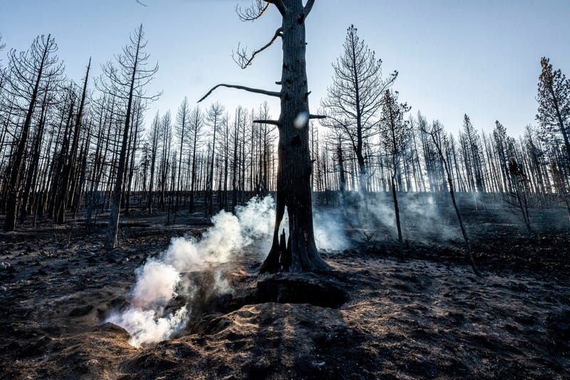 Western Wildfires