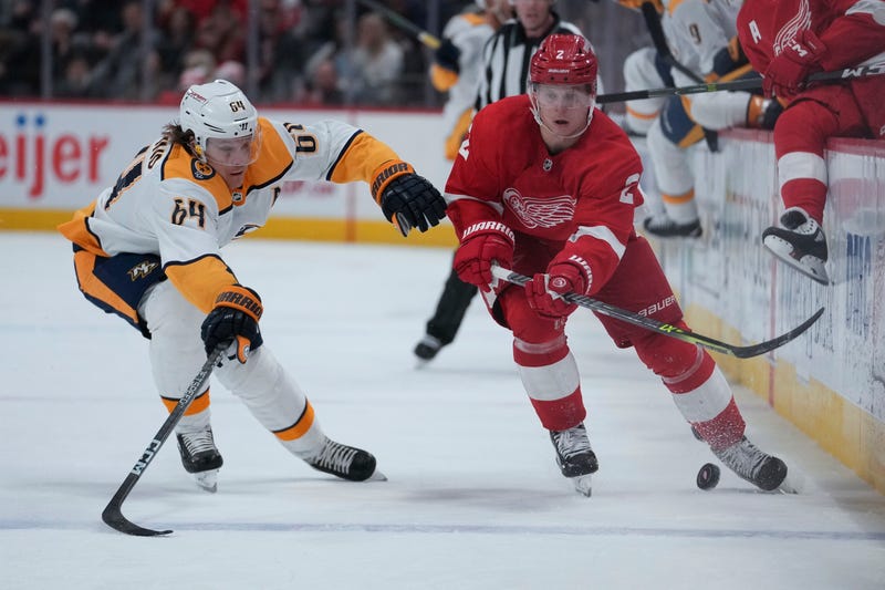 Predators Red Wings Hockey
