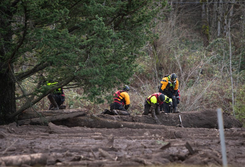 Northwest Storm Missing Woman