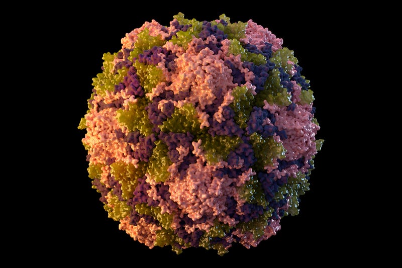 Polio NYC