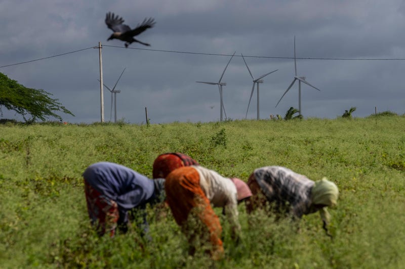 Climate Net Zero Asia