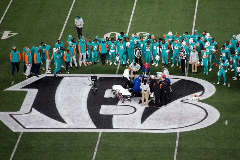 Dolphins Bengals Football