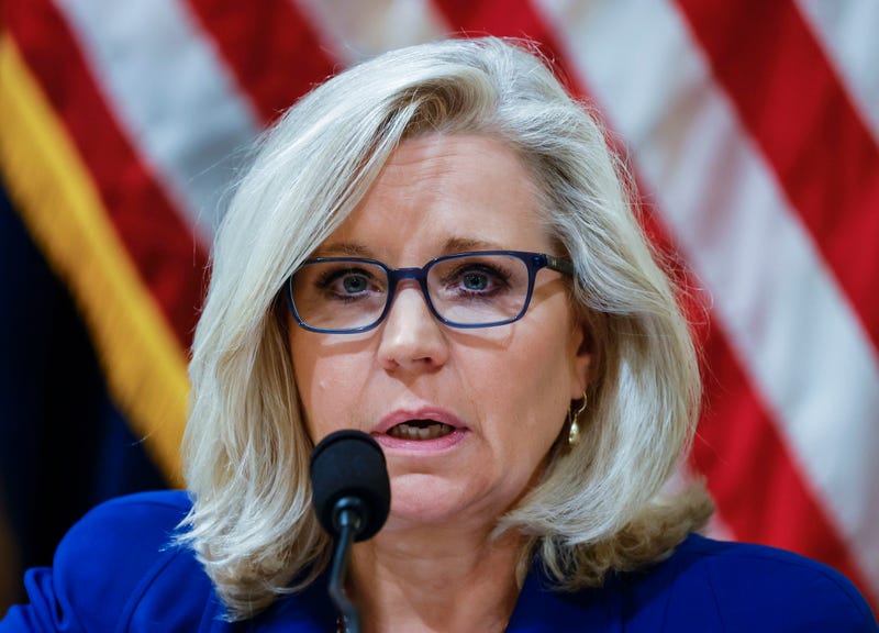 Congress Cheney