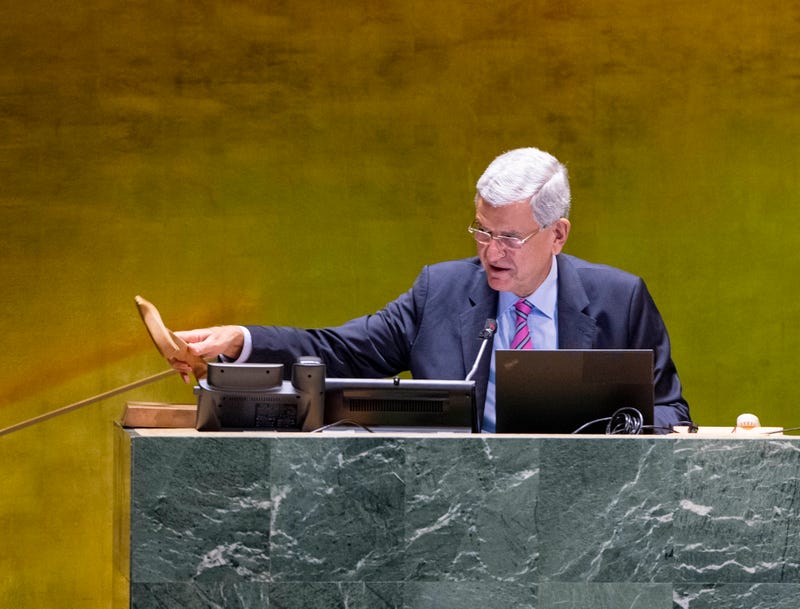 UN General Assembly
