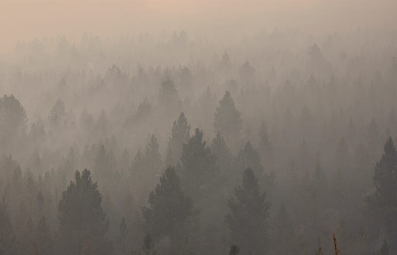 Wildfire Smoke-Public Health