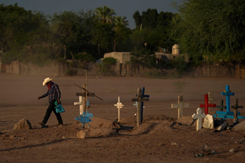 Mexico Activist Killing