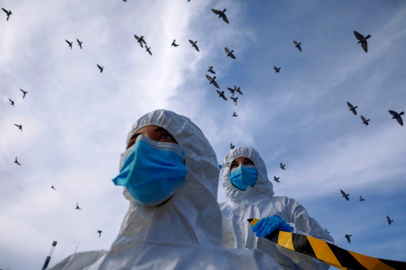APTOPIX Virus Outbreak Israel
