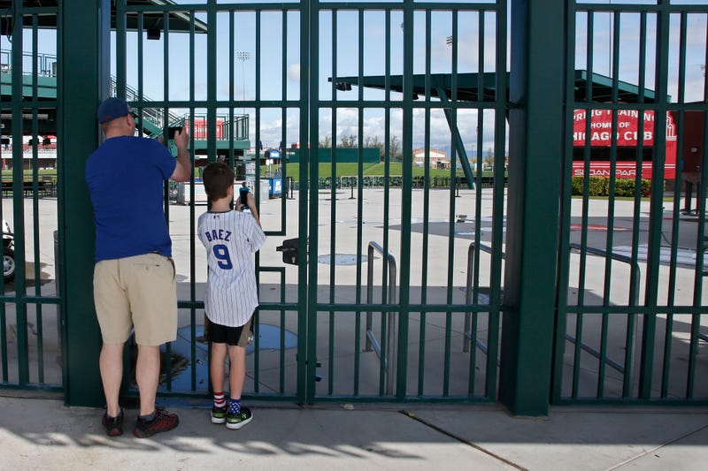 Spring Training Cactus League Baseball