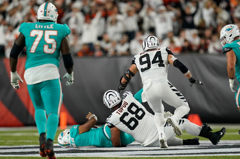 Dolphins Bengals Football