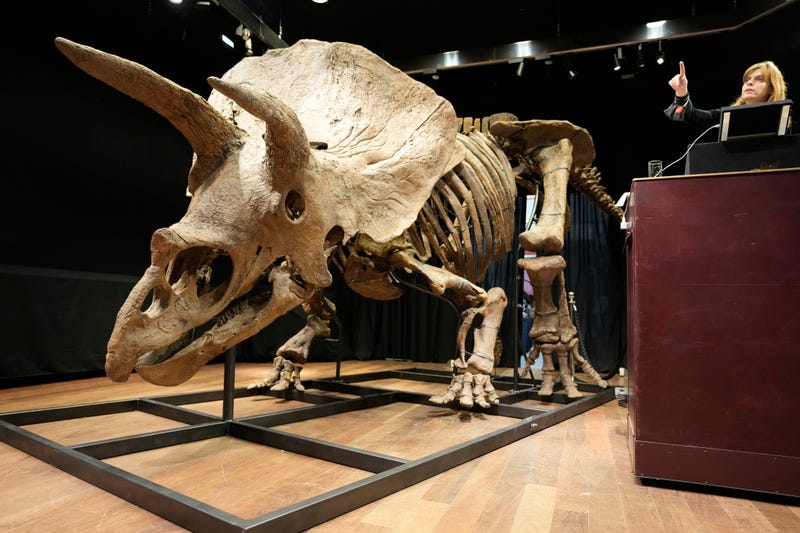 APTOPIX France Triceratops