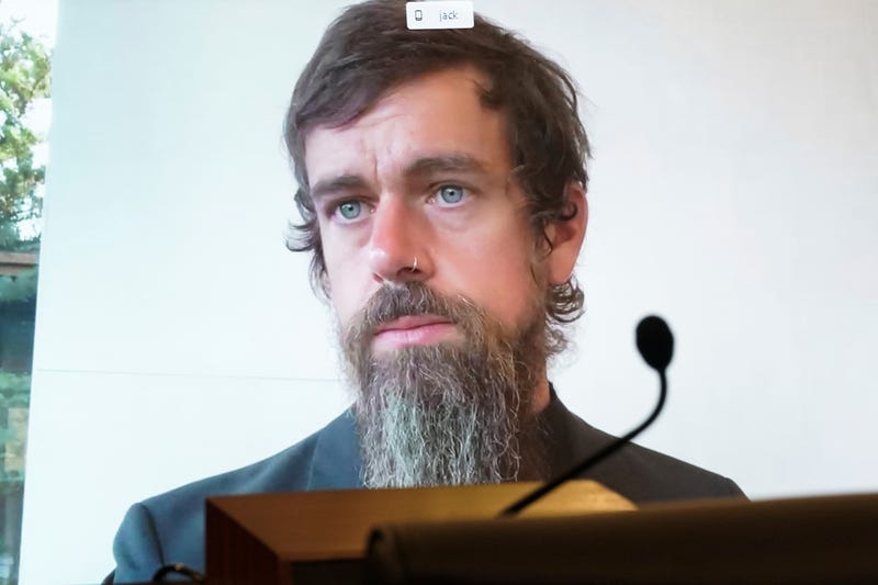 Congress Social Media CEOs