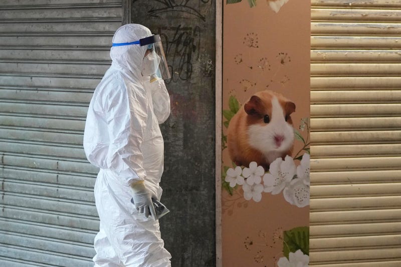 CORRECTION Virus Outbreak Hong Kong
