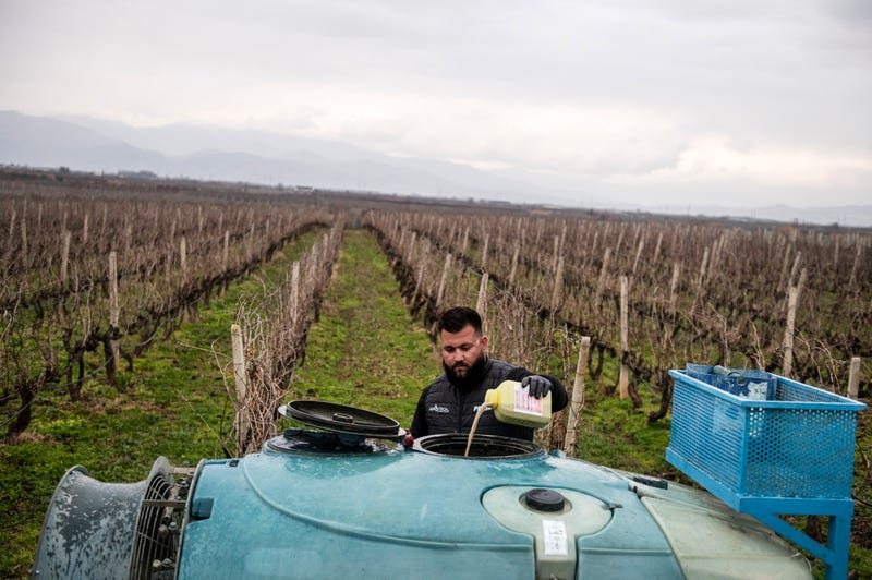 Europe Pesticides