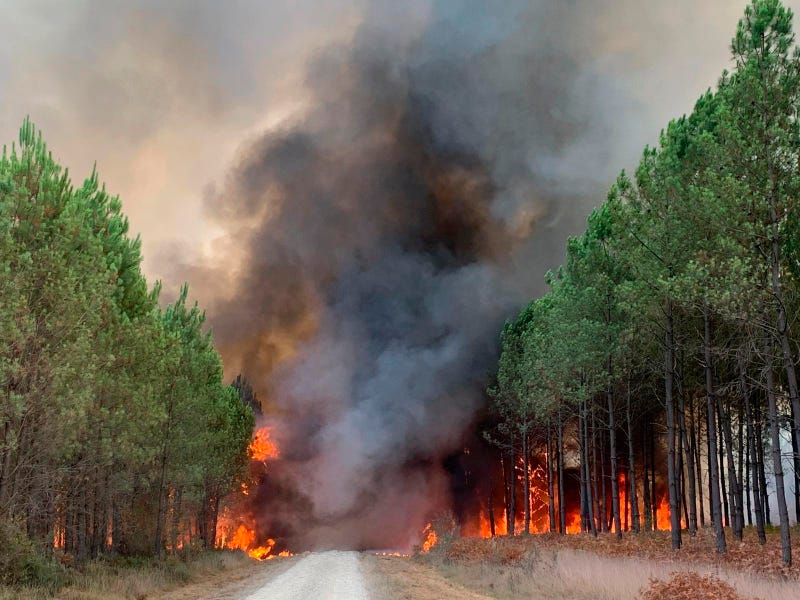 France Wildfires