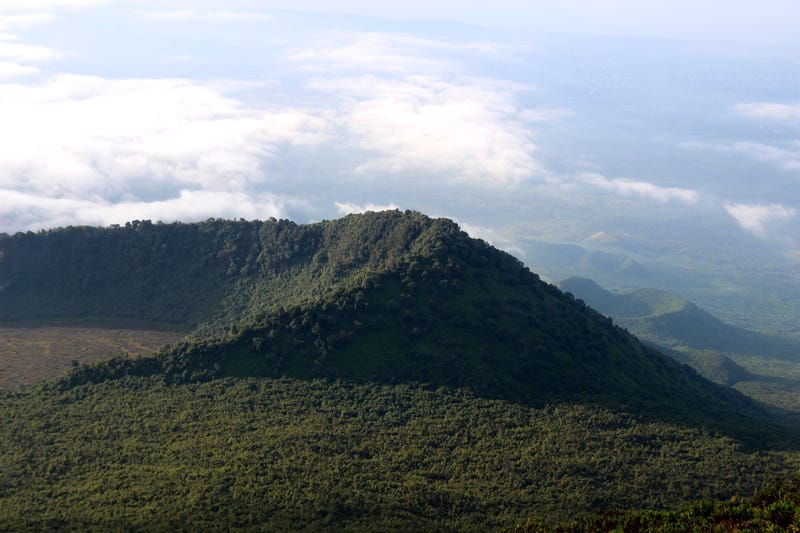 Climate DRC Oil Blocks