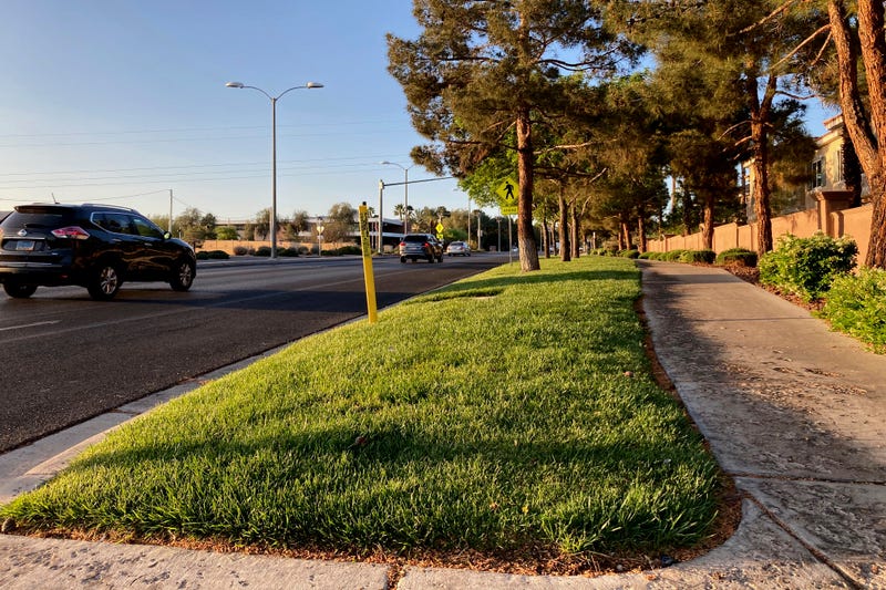 Western Water Vegas Grass Ban