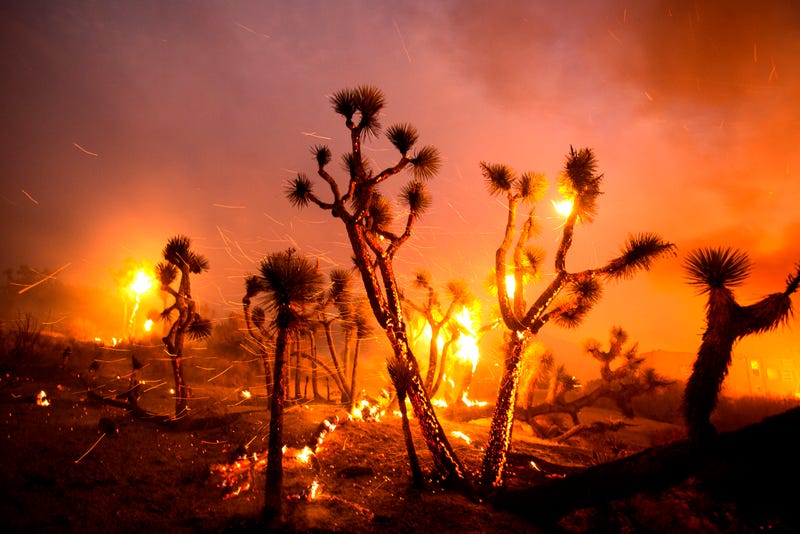 APTOPIX Western Wildfires