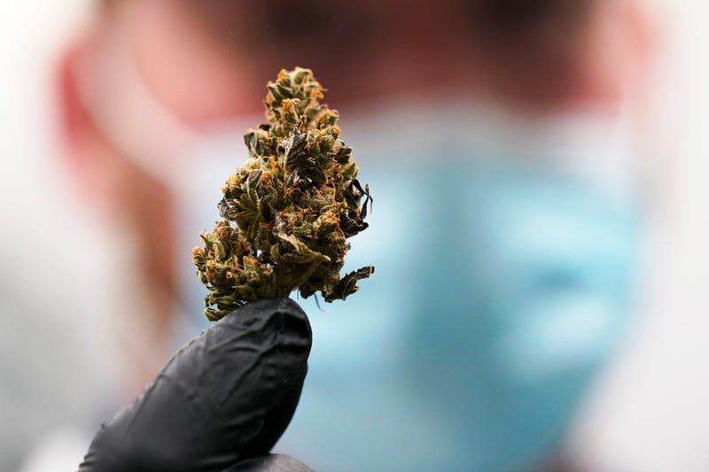 Marijuana Legalization