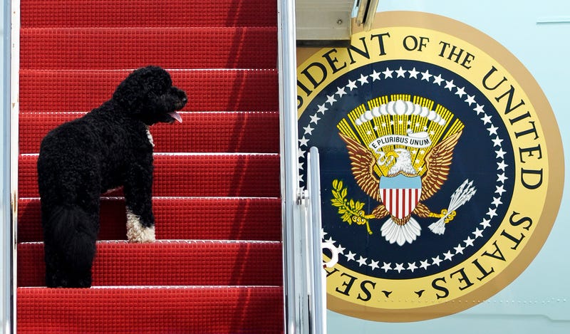 White House Pets