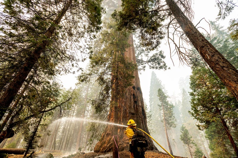 Western Wildfires