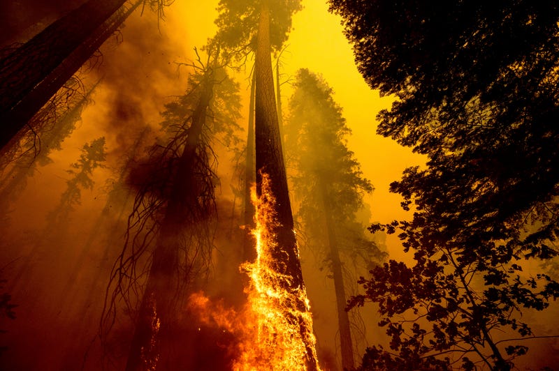 APTOPIX Western Wildfires
