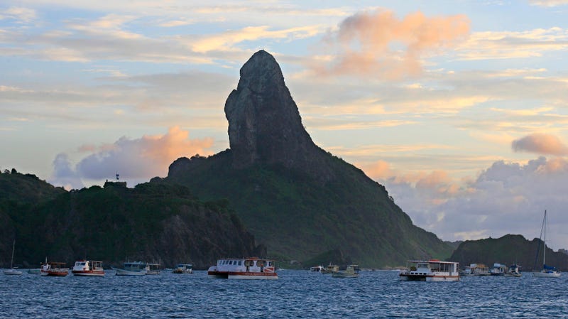 Virus Outbreak Brazil Test Fraud