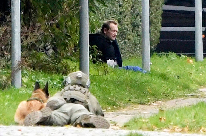 Denmark Killed Reporter