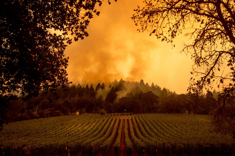 California Wildfires Photo Gallery