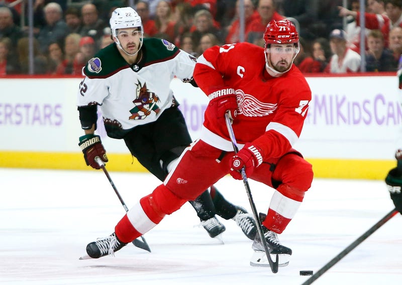 Coyotes Red Wings Hockey
