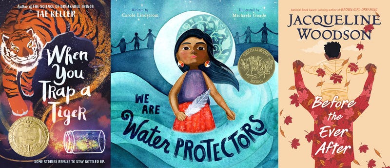 Books-Newbery-Caldecott