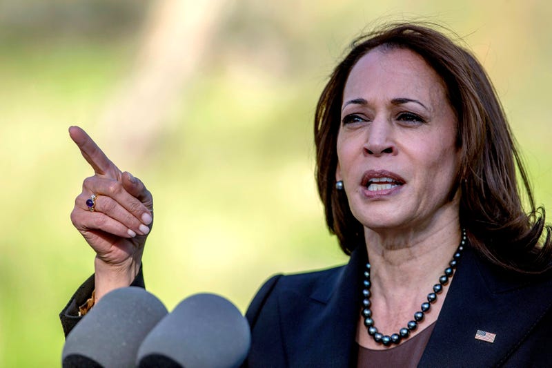 Kamala Harris Wildfires