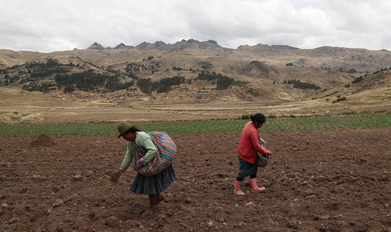 Virus Outbreak Peru - Farmers
