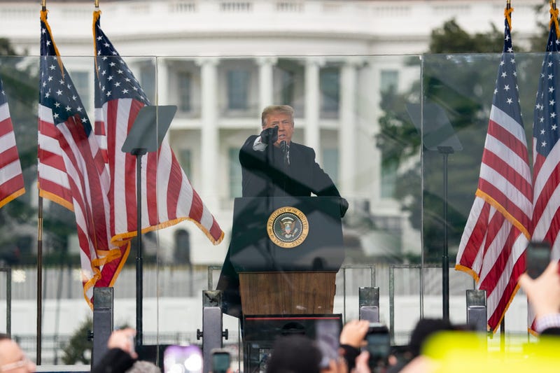 Trump Impeachment Rioters
