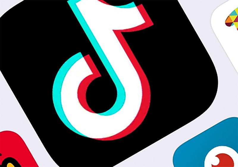TikTok Privacy Settlement