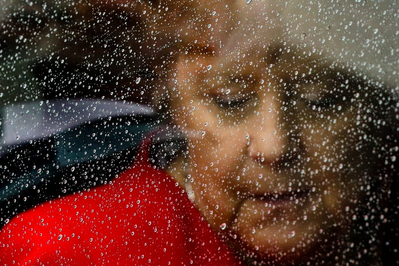Germany Election Expectations