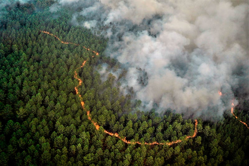 France Wildfires