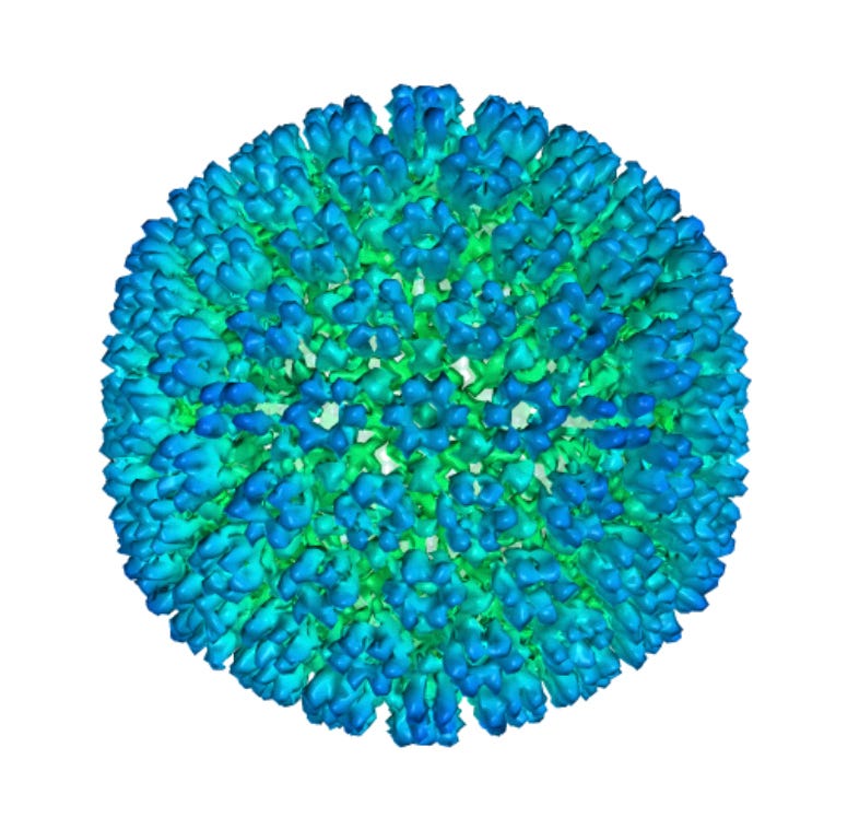 Multiple Sclerosis-Virus