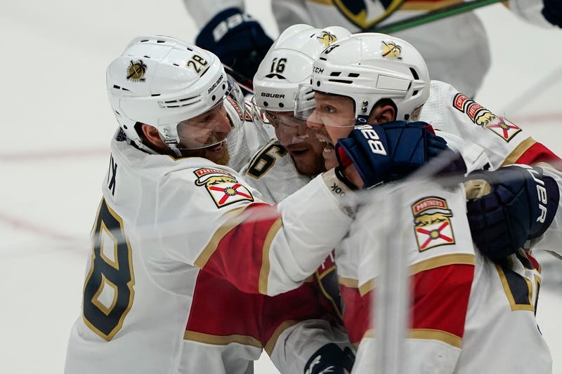 Panthers Capitals Hockey