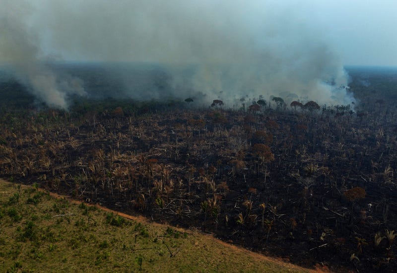 Brazil Amazon Deforestation