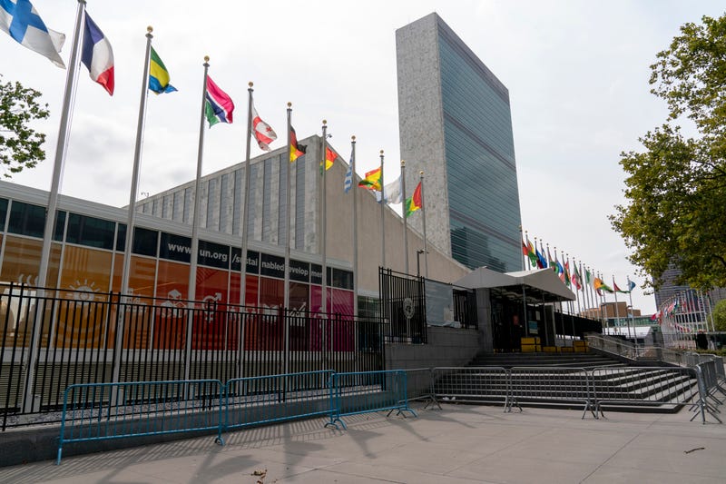 United Nations General Assembly