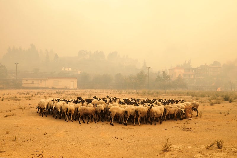APTOPIX Greece Wildfires