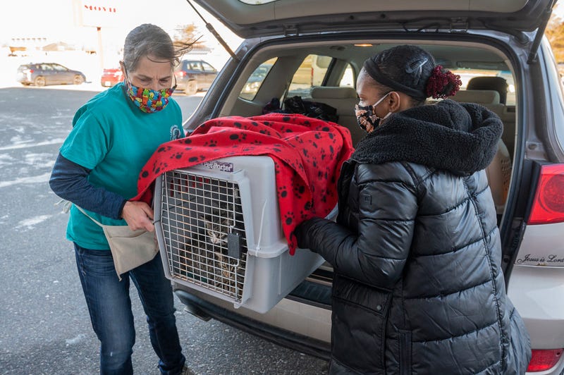 Ojibwe Animal Welfare