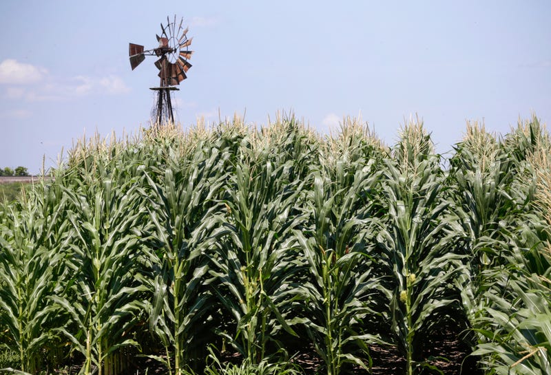 Federal Farm Payments
