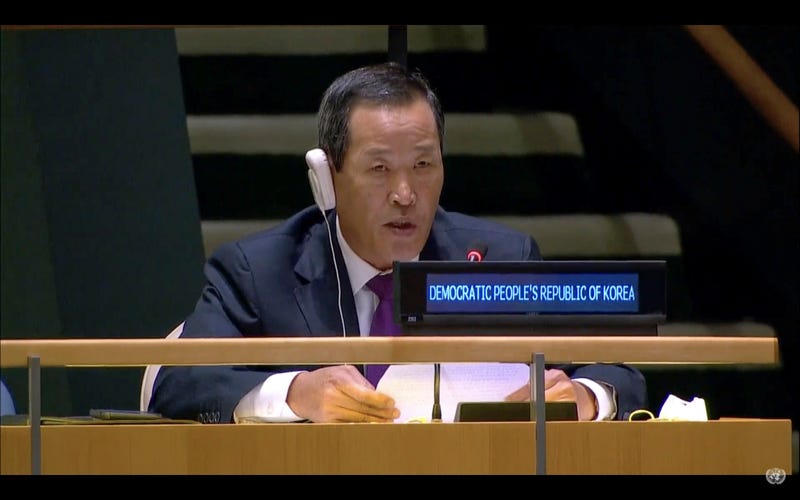 UN General Assembly
