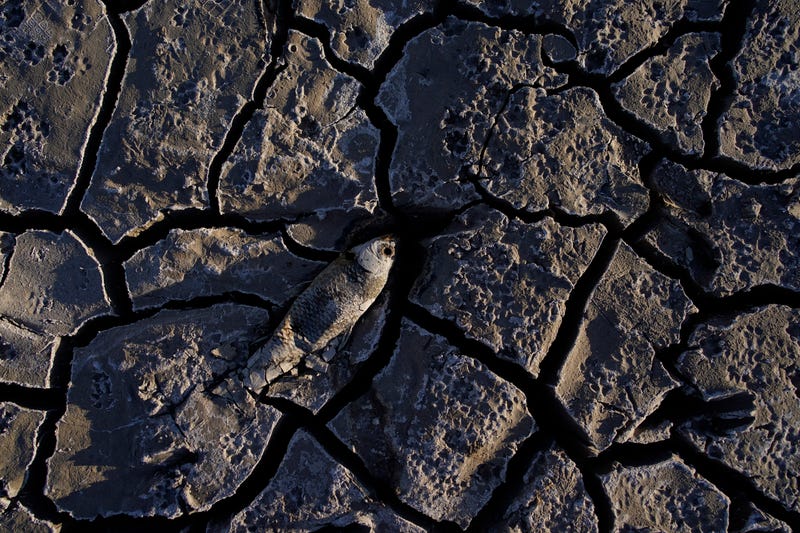 Western Drought Colorado River