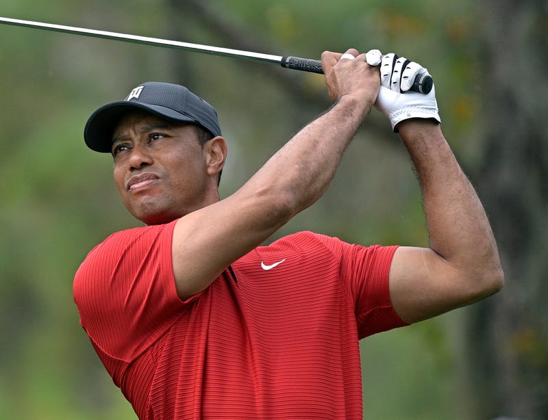 Tiger Swing Video Golf