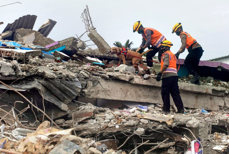 Indonesia Earthquake