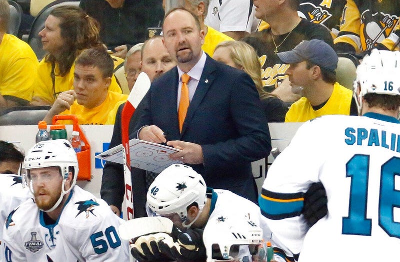 San Jose Sharks head coach Peter DeBoer