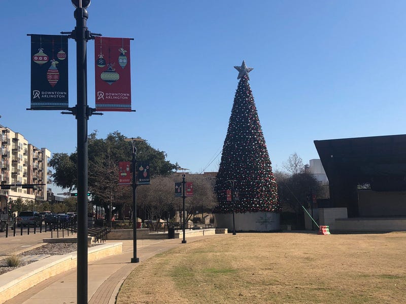 Arlington Christmas Tree